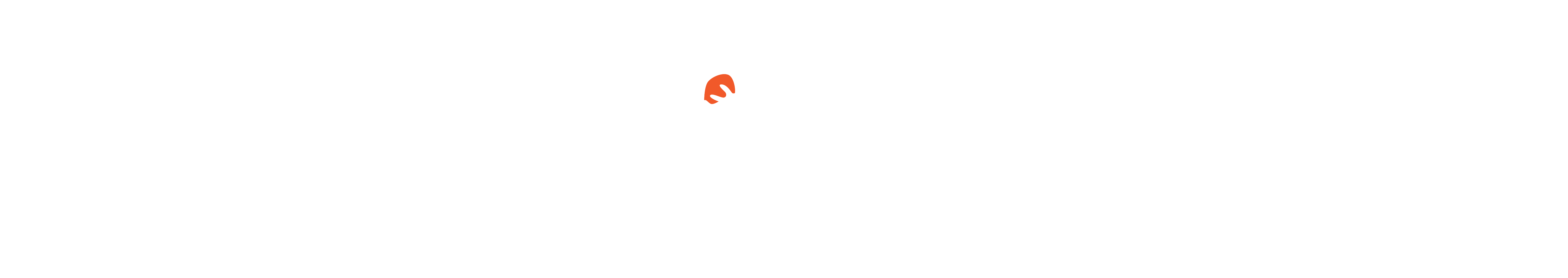 RotoBaller